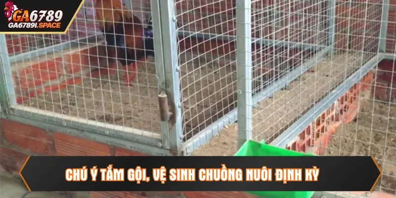 Chú ý tắm gội, vệ sinh chuồng nuôi định kỳ