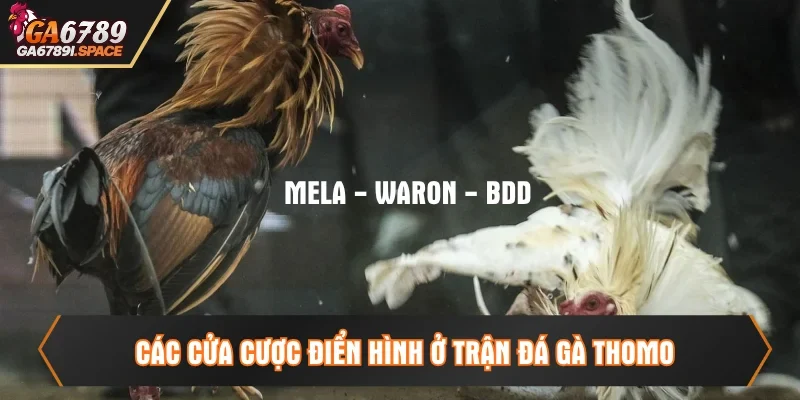 Cửa Meron, Wala và BDD để sư kê đặt tiền