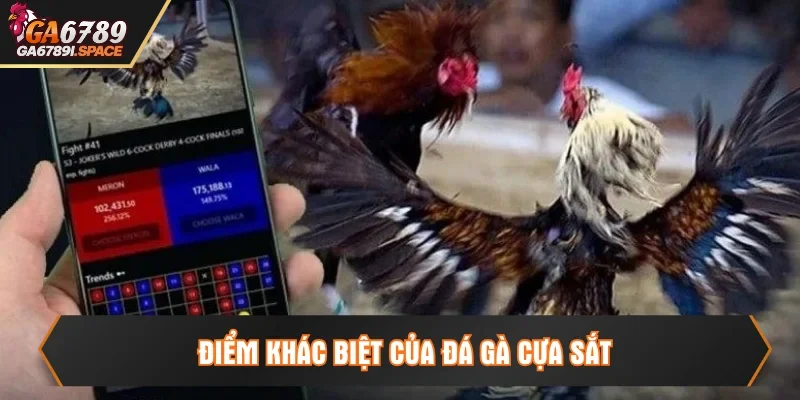 Điểm khác biệt của trận chiến cựa sắt