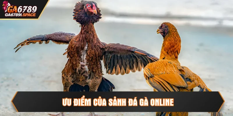 Điểm nổi bật của sảnh chiến đấu