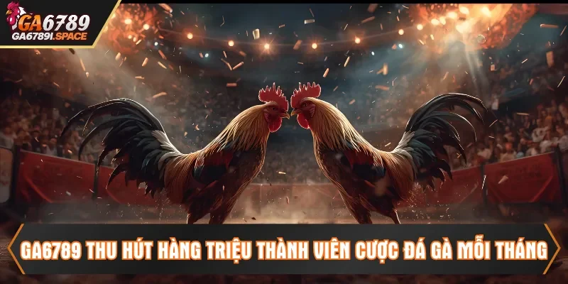 Ga6789 thu hút hàng triệu thành viên cược đá gà mỗi tháng