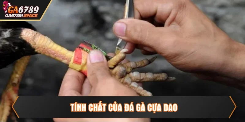 Tính chất của hình thức đá gà