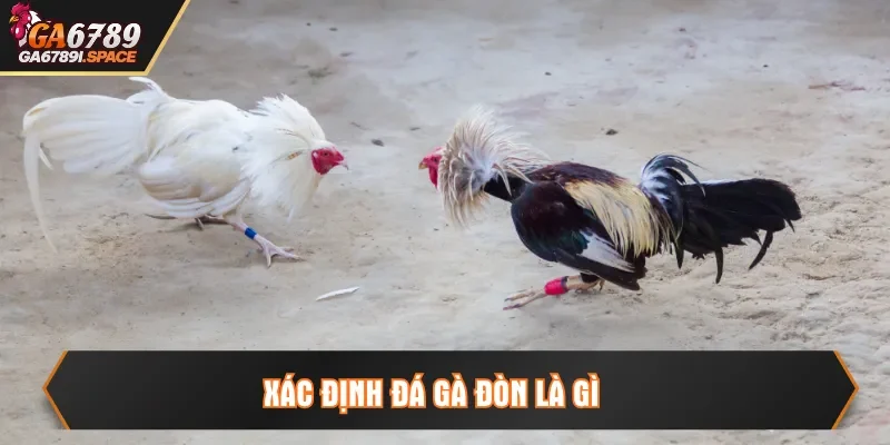Xác định đá gà đòn là gì
